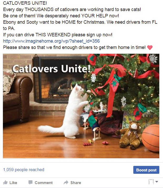 catlovers