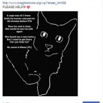 Facebook marketing test met Story telling