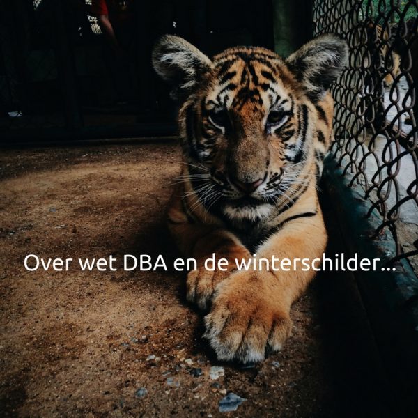 Over wet DBA en de winterschilder