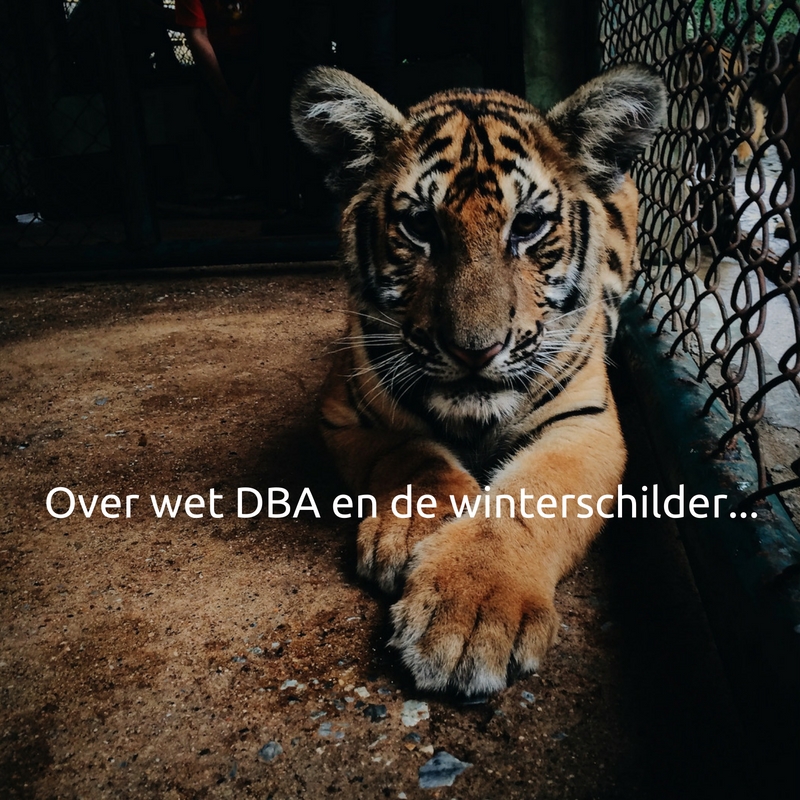 Over wet DBA en de winterschilder