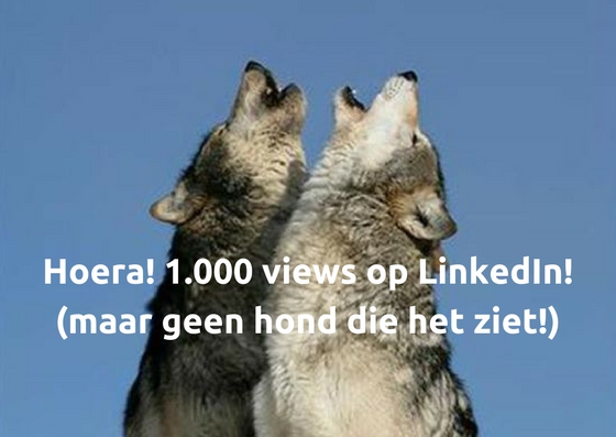 1.000 views op LinkedIn maar geen hond die het ziet