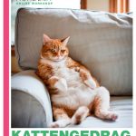 Workshop kattengedrag voor Libelle Academy