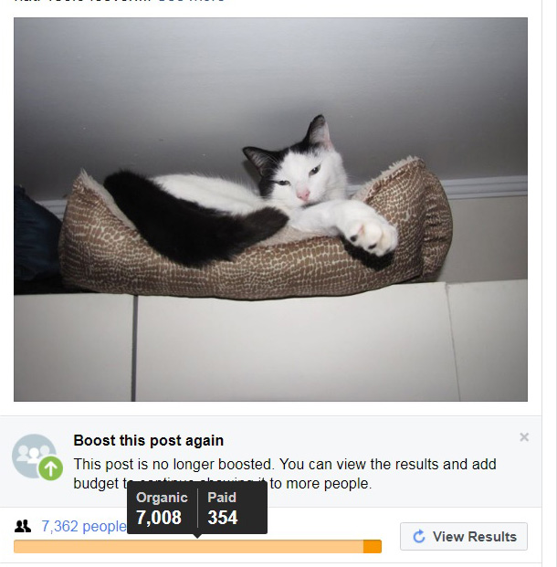 Facebook advertentieresultaat