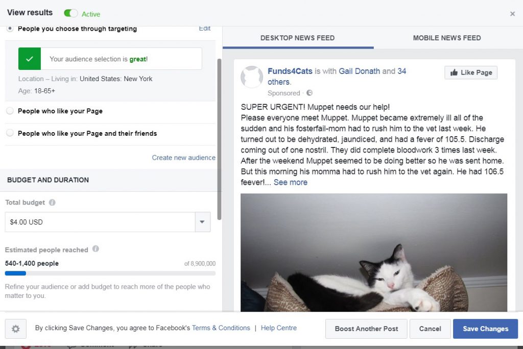 Boosten Facebookbericht